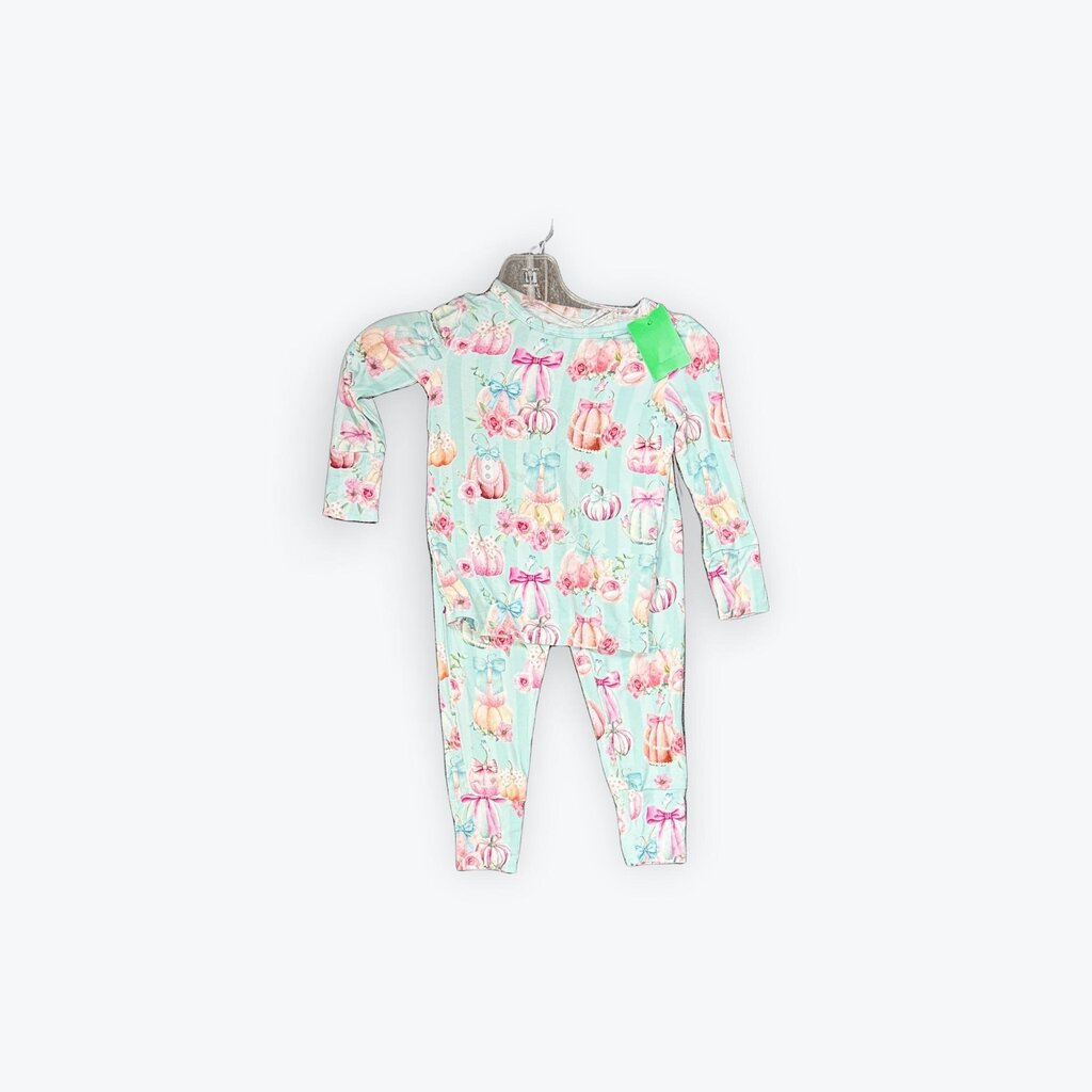2 pc posh peanut pumpkin set