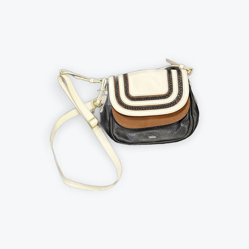 fossil corrbody