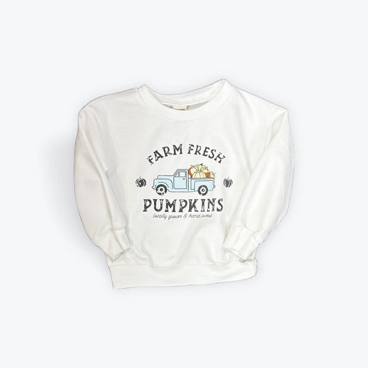 pumpkin sweatshirt