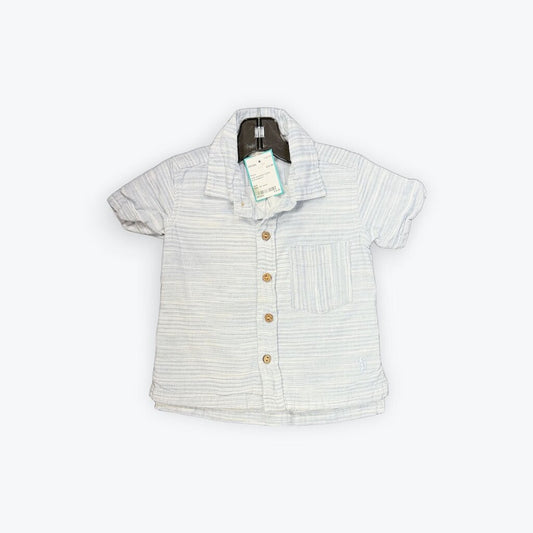 well dressed wolfe buttondown
