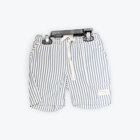 sawyer and finn swimtrunk