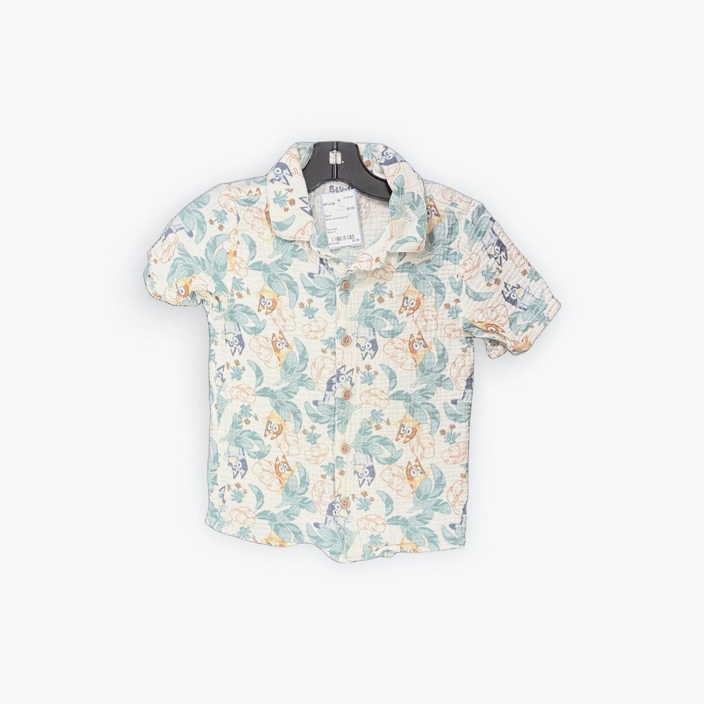 bluey buttondown