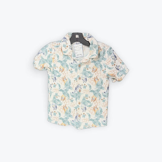 bluey buttondown