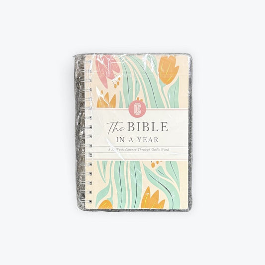 the bible in a year