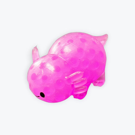 AXOLOTL COLOR MAY VARY