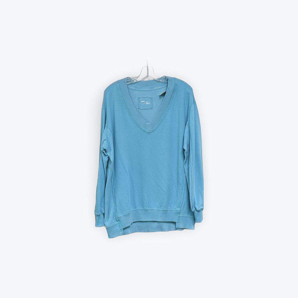 aerie sweatshirt