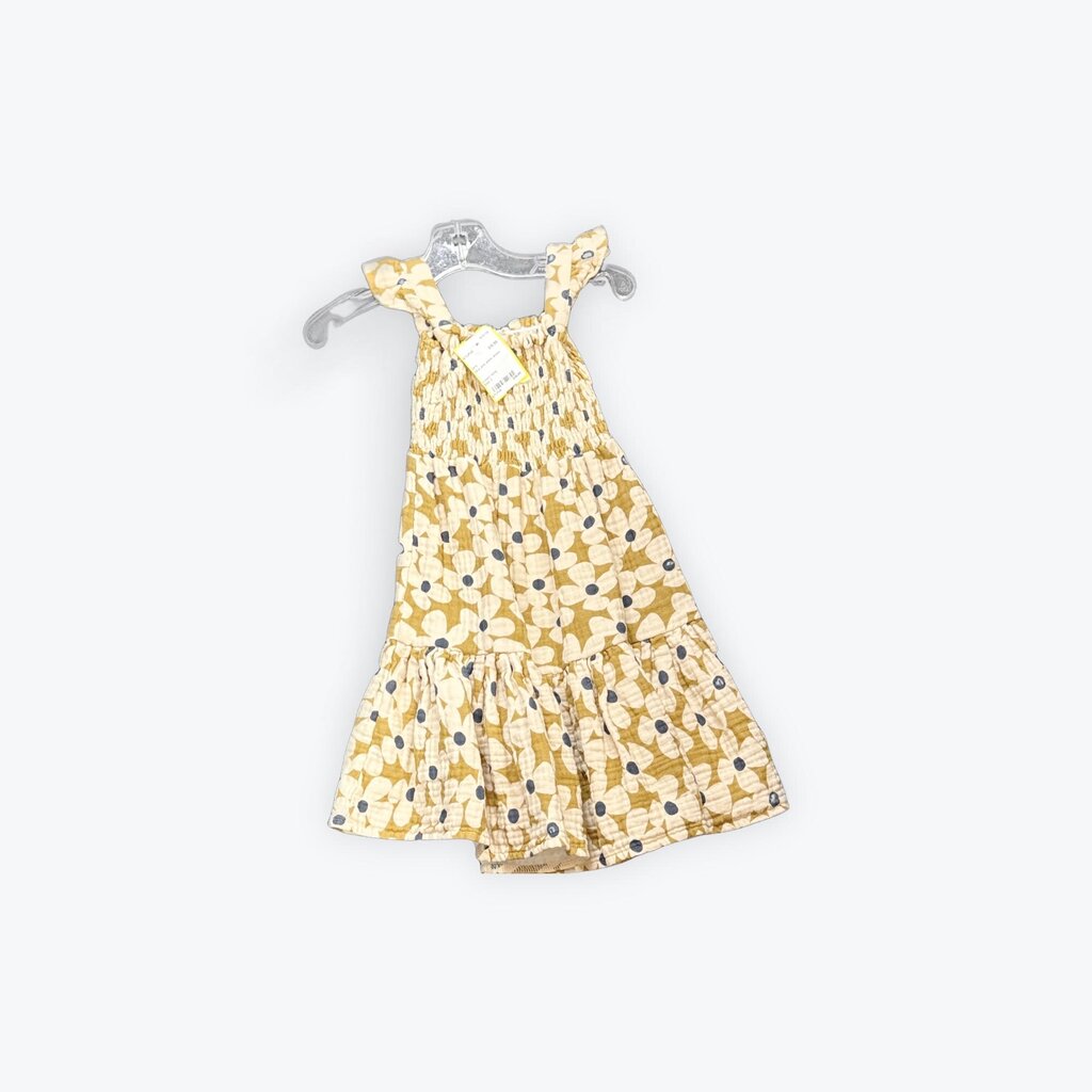 alice and ames dress