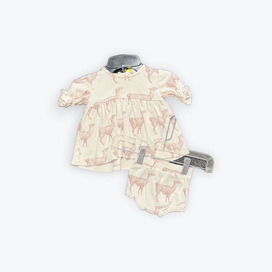 kate quinn set