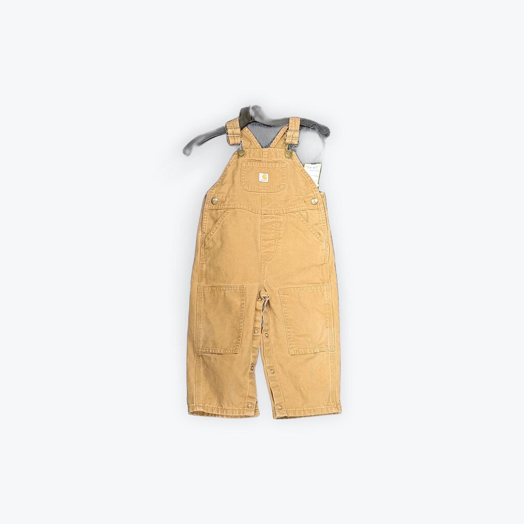 Carhartt overhalls